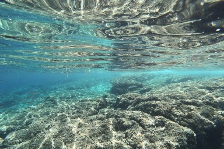 From Zadar: Half/Full Day Sailing Tour - Half-Day sailing: 09:00–13:00 or 14:00–18:00