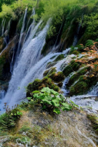From Zadar: Plitvice Lakes Day Trip with Guide and Boat Tour - Meeting Point Timing: Morning and Afternoon Zadar Departures