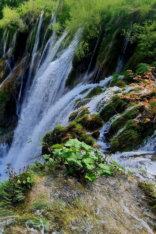 From Zadar: Plitvice Lakes Day Trip with Guide and Boat Tour - Meeting Point Timing: Morning and Afternoon Zadar Departures