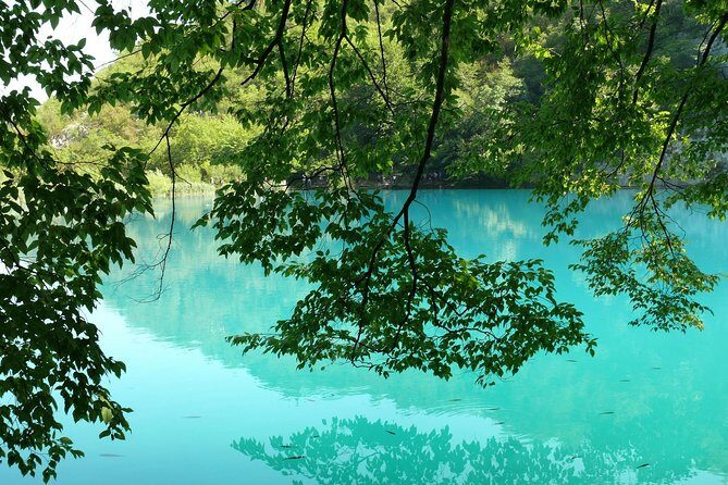 From Zadar: Plitvice Lakes Guided Day Tour with Tickets - Guide styles that seem to work: Bojan, Filip, Paola