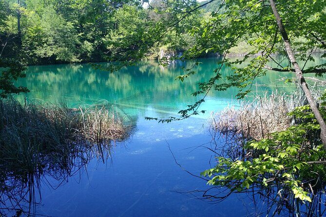 Full-Day Private Tour of Plitvice Lakes National Park from Zadar - Key highlights you’ll feel right away