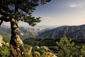 Paklenica National Park Admission Ticket - The Voucher Exchange: Paper Ticket Rules That Can Save Your Day