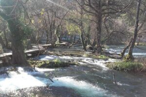 Private Return Transfer to Krka National Park from Zadar and return to Zadar - The drive from Zadar: what the schedule really means for your day