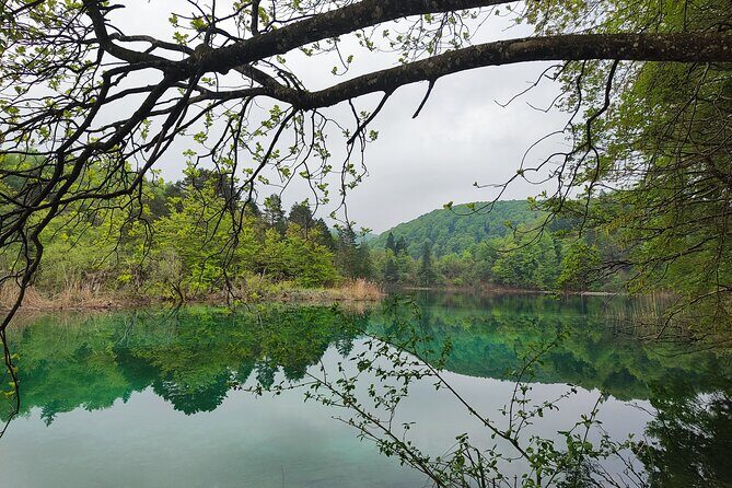 Private Roundtrip Transfer from Zadar to Plitvice National Park - Getting Into Plitvice: Tickets, Entrance Directions, and First Steps
