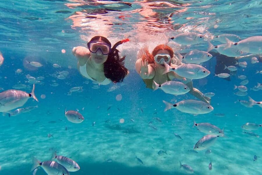 Zadar: Island-Hopping, Swimming & Snorkeling SpeedBoat Tour - Meeting Point and Timing: Get There Early