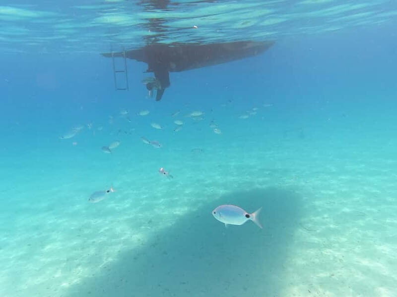 Zadar: Private SpeedBoat Tour to Islands - Drinks Included - Stop 4–5: Ošljak, the Smallest Inhabited Island in Croatia