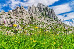 Zadar: Scenic trip to mountains, caves and rivers - Maslenica Bridges and the Zrmanja Canyon Viewpoints